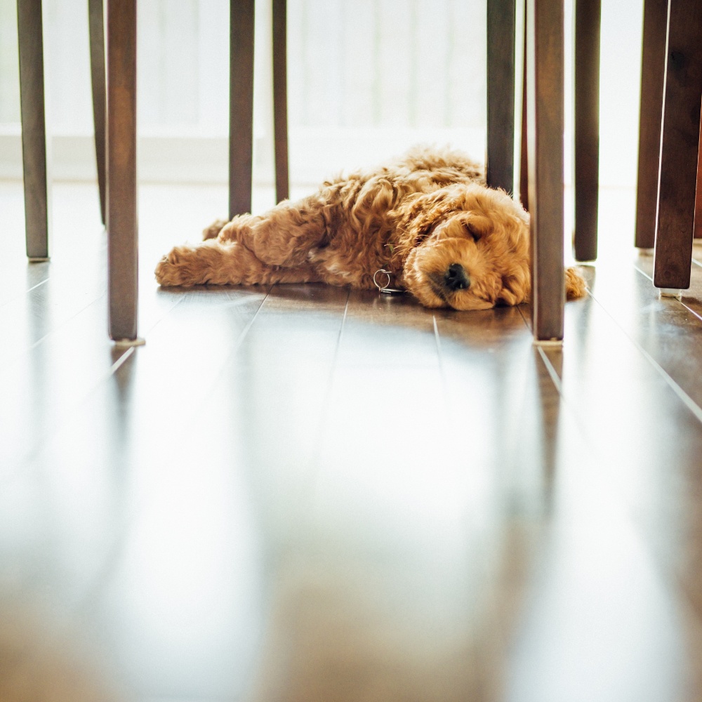 Wooden floor cleaning